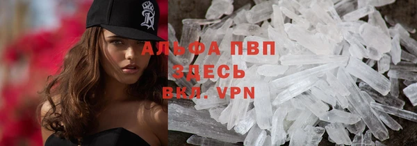 сатива Алексин