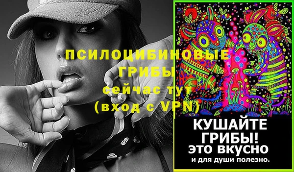 эйфоретик Новозыбков