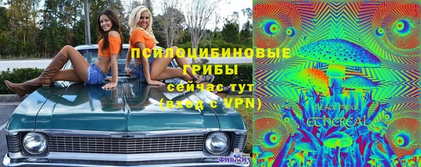 сатива Алексин