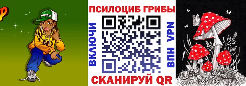 Галлюциногенные грибы Psilocybine cubensis  Камызяк 