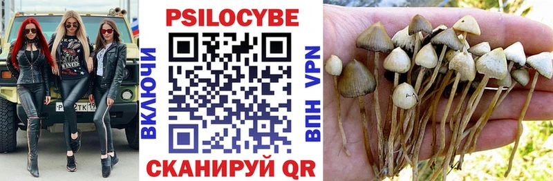 Псилоцибиновые грибы Magic Shrooms Камызяк